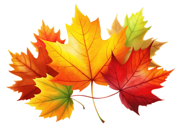 Evaluating the Practical Value of Fall Leaf 3D Icon Design Assets